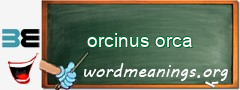 WordMeaning blackboard for orcinus orca